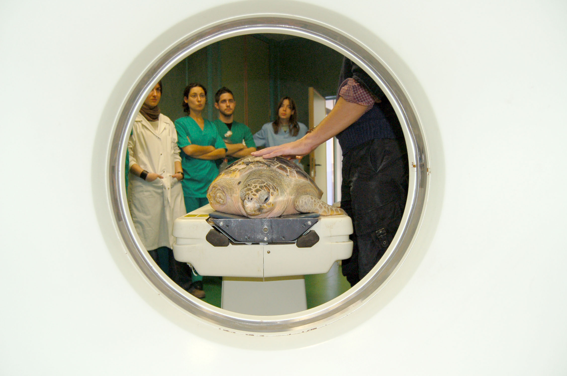 Clínica veterinaria de la Universidad CEU Cardenal Herrera