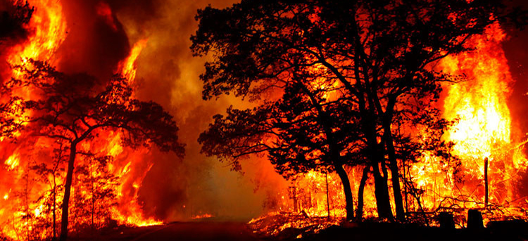 Nuevo modelo de mapas de riesgo de incendios forestales que incorpora el factor humano