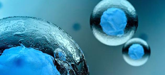 Hallan proteínas que activan la conversión de células adultas en células madre pluripotentes