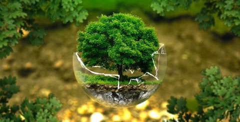 Un estudio analiza cómo el manejo de residuos orgánicos afecta al calentamiento global