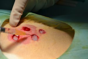 terapia-regenerativa-heridas CEU