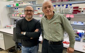 José García Martínez (izquierda) y José E. Pérez Ortín (derecha) en el laboratorio de Genómica Funcional de Levaduras de la Facultad de Biología.