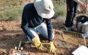  Fernando T. Maestre muestreando en Marruecos suelos utilizados en el estudio y ecosistema analizado en la Patagonia