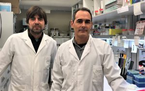 Salvador Herrero (izquierda) y Joel González, investigadores de la UV implicados en el proyecto INSECT DOCTORS.