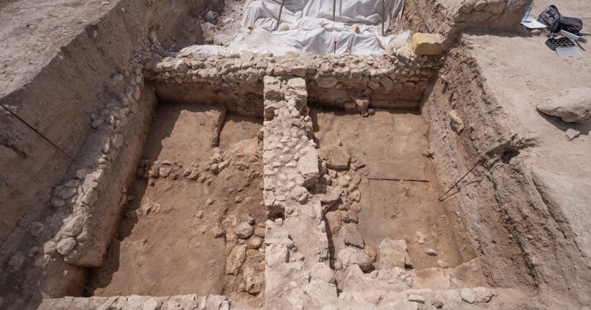 La UA retoma las excavaciones en su yacimiento La Alcudia de Elche con la colaboración del Ayuntamiento de Elche