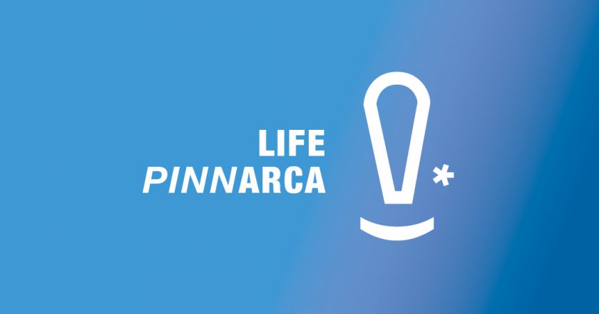 La propuesta del diseñador Ferran España gana el concurso de logotipo para LIFE PINNARCA  