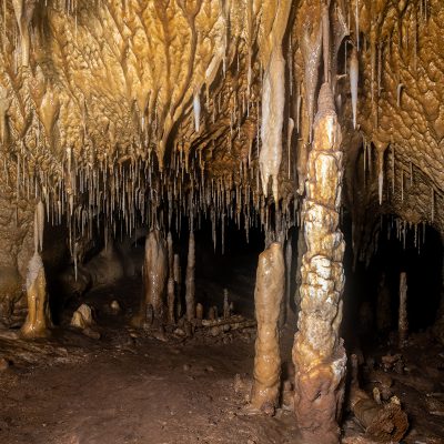 Descubren una gran cavidad en la Cueva del Arco de Cieza que abre una nueva puerta a la prehistoria