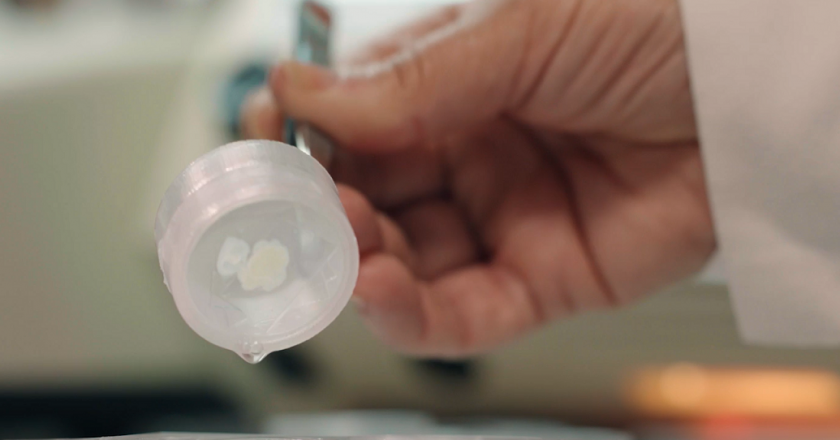 Inventan un dispositivo para manipular de manera fácil muestras de tejido biológico