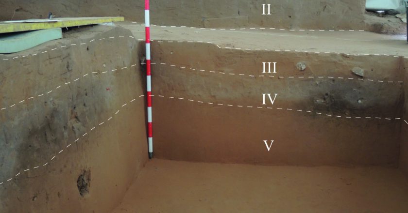 Los restos hallados en el yacimiento del Arenal de la Virgen de Villena revelan el impacto de la aridez en las comunidades prehistóricas