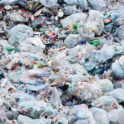 Muestran mayor toxicidad en bolsas compostables que en las de plástico convencional