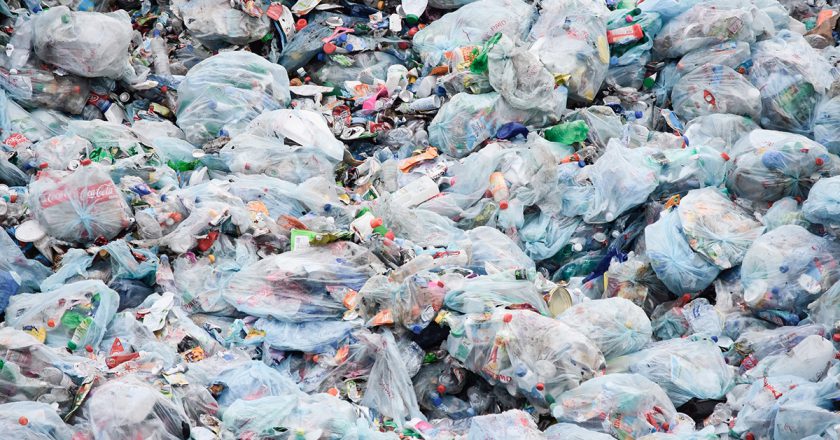 Muestran mayor toxicidad en bolsas compostables que en las de plástico convencional