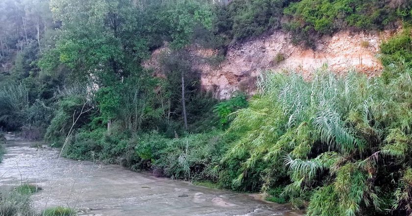 Un estudio revela el impacto del cambio climático en la calidad del agua de los ríos de la Vall d’Albaida