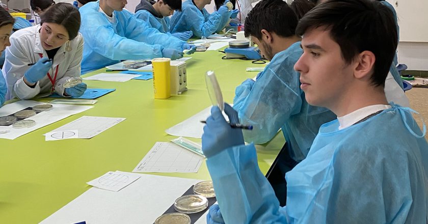 Escolares valencianos participan en la búsqueda de nuevos antibióticos, mediante experimentos dirigidos por estudiantes de la CEU UCH